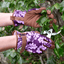 Burgon & Ball Gardening Gloves Burgon & Ball Oak Leaf Gardening Gloves Plum