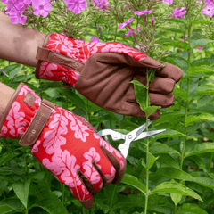 Burgon & Ball Gardening Gloves Burgon & Ball Oak Leaf Gardening Gloves Poppy