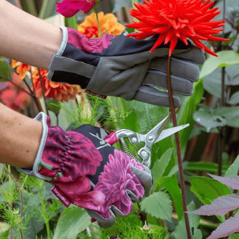 Burgon & Ball Gardening Gloves Burgon & Ball RHS Bloom Collection Gloves