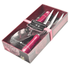 Burgon & Ball Gardening gifts Burgon & Ball RHS Bloom Collection Trowel and Fork