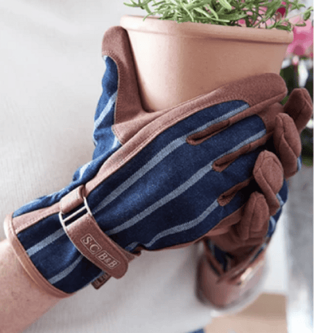 Burgon & Ball Gardening Gloves Burgon & Ball Sophie Conran Everday Gardening Gloves Ticking