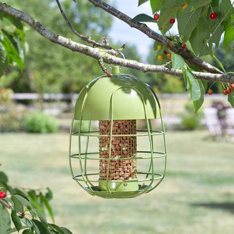 Smart Garden Squirrel Proof Feeders Chapelwood Acorn Squirrel Proof Peanut Feeder