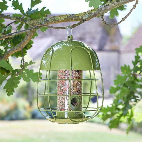 Smart Garden Squirrel Proof Feeders Chapelwood Acorn Squirrel Proof Seed Feeder