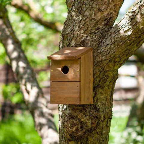 ChapelWood Nest Boxes Chapelwood Classic Nest Box