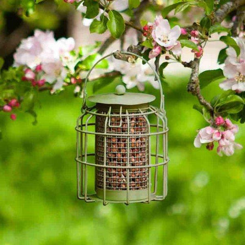 Smart Garden Squirrel Proof Feeders ChapelWood Compact Squirrel Proof Peanut Feeder
