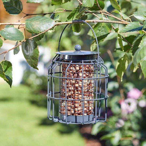 Smart Garden Squirrel Proof Feeders ChapelWood Compact Squirrel Proof Peanut Feeder