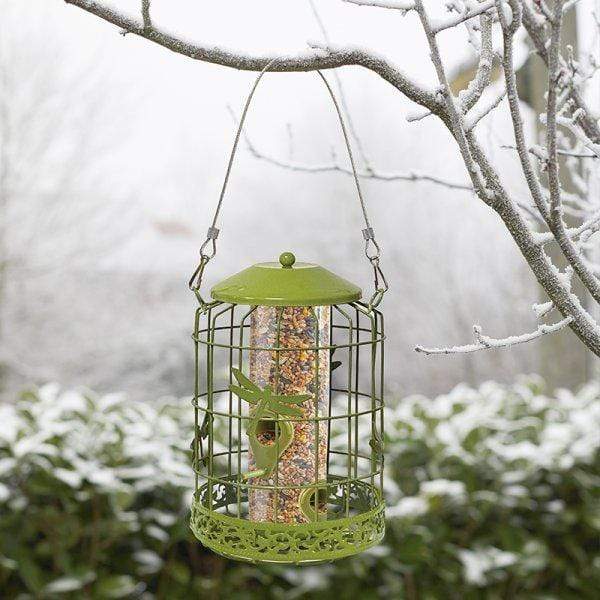 Chapelwood Decor Squirrel Proof Seed Feeder Trowell Garden Centre