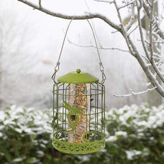 ChapelWood Bird Feeders Chapelwood Decor Squirrel Proof Seed Feeder