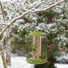 ChapelWood Bird Feeders Chapelwood Decor Squirrel Proof Seed Feeder