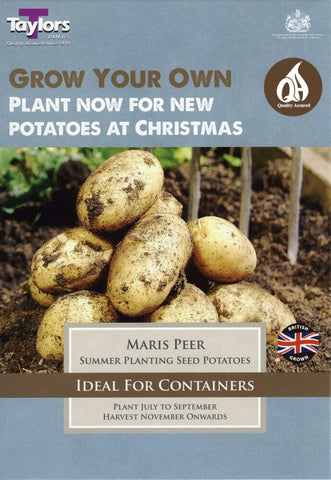 Taylors Seed Potatoes Copy of Taylors Autumn seed potatoes Maris Peer