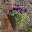 Smart Garden Hanging Baskets Country Rattan Hanging Cone