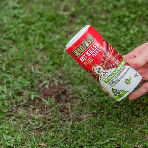 Deadfast Ant Control Deadfast Ant Killer Plus Powder 150g