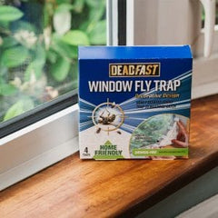 Deadfast Pest Control Traps Deadfast window fly trap