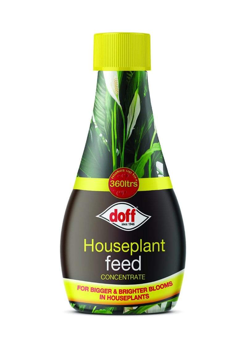 Doff Houseplant Feeds Doff Houseplant Feed Concentrate 180ml