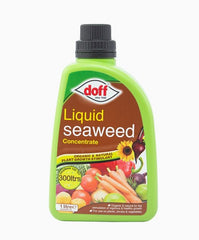 Doff Garden Plant Feeds Doff Liquid Seaweed Organic Feed 1L