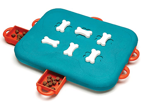 Rosewood Dog Learning Dog Smart Casino Learning Game