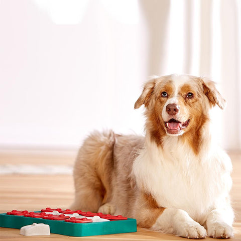 Rosewood Dog Learning Dog Smart Treat Brick Learning Game