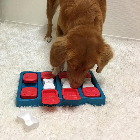 Rosewood Dog Learning Dog Smart Treat Brick Learning Game