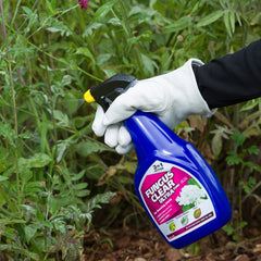 Evergreen Garden Care Fungus Control Evergreen Fungus Clear Ultra Ready To Use 1Ltr
