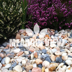 Meadow View Landscaping Flamingo Pebbles