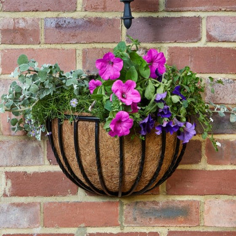 Smart Garden Hanging Baskets Forge Wall Basket