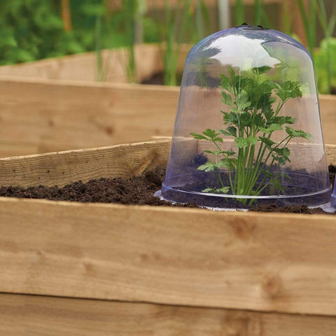 Gardman Propagation Products Gardman Bell Cloche Medium Pack of 3