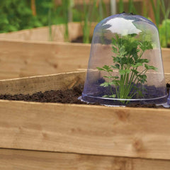 Gardman Propagation Products Gardman Bell Cloche Medium Pack of 3