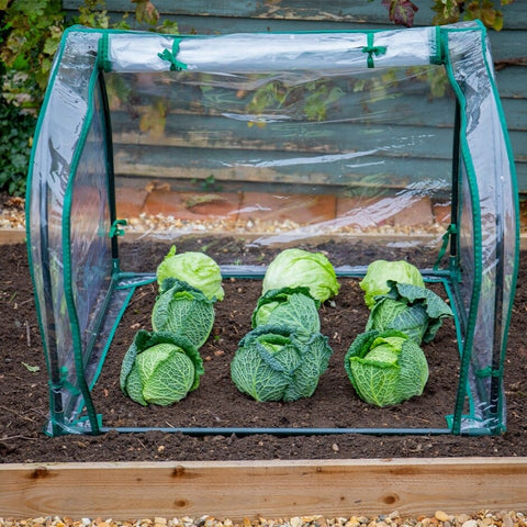Gardman Cloches Gardman Grow It Medium Seedling Cloche Single