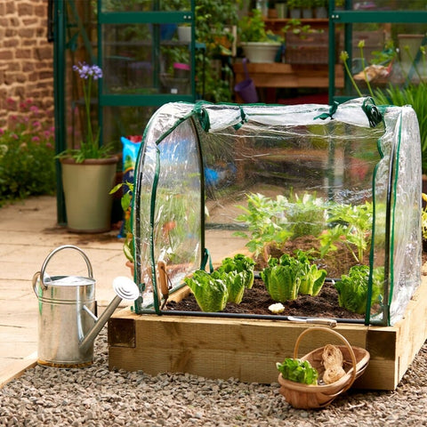 Gardman Cloches Gardman Grow It Medium Seedling Cloche Single