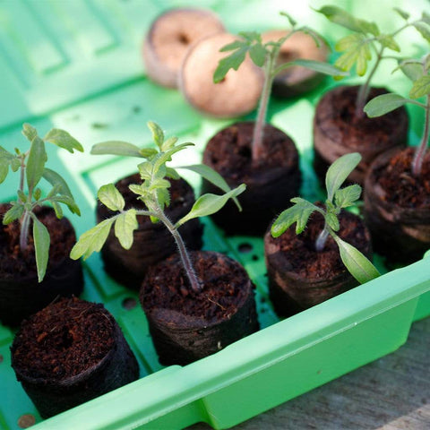 Gardman Growing Disc Gardman Grow it Peat Free Growing Discs 50 pack