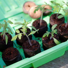 Gardman Growing Disc Gardman Grow it Peat Free Growing Discs 50 pack