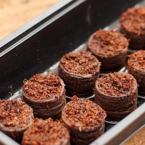 Gardman Growing Disc Gardman Grow it Peat Free Growing Discs 50 pack