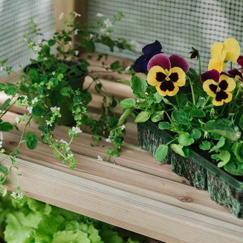 Gardman Replacement Cover Gardman Grow It Premium 4 Tier Wooden Growhouse Cover White PE