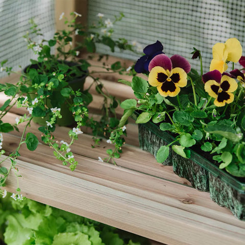 Gardman Wooden Growhouse Gardman Grow It Premium 4 Tier Wooden Growhouse