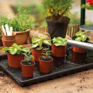 Gardman Watering Tray Gardman Grow It Watering Tray Pack of 2