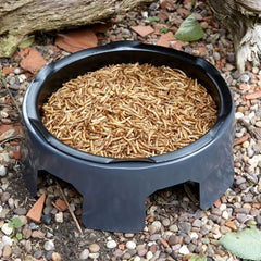 Gardman Meal Worms & Worms Gardman Mealworm Pouch 1.2kg