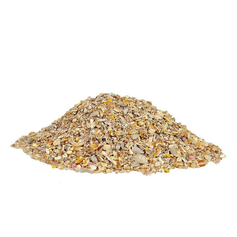 Gardman Bird Seed Mixes Gardman No Grow Seed Mix 1kg