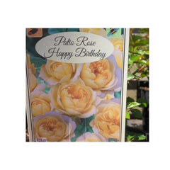 Trowell Garden Centre Roses Happy Birthday Gift Roses