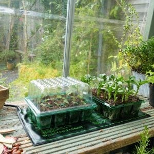 Trowell Garden Centre Gro-Sure Electric Heated Propagation Mat