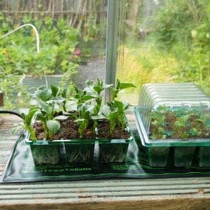 Trowell Garden Centre Gro-Sure Electric Heated Propagation Mat