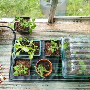 Trowell Garden Centre Gro-Sure Electric Heated Propagation Mat