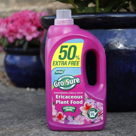 Westland Horticulture Garden Plant Feeds Gro-Sure Ericaceous Plant Food 1L + 50% Extra