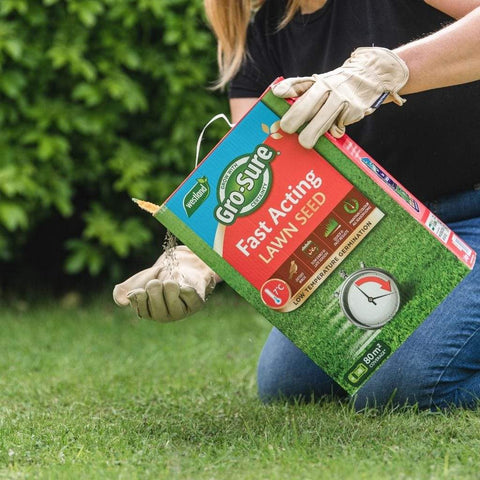 Westland Horticulture Lawn Care Products Gro-Sure Fast Acting Lawn Seed 10m2 + 30% Free