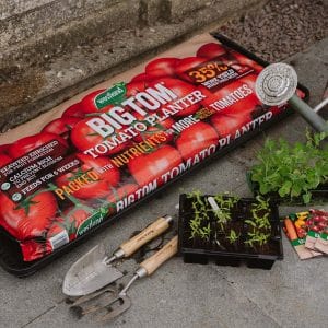 Trowell Garden Centre Gro-Sure Grow Bag Tray