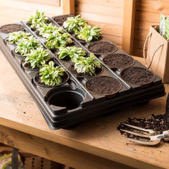 Gardman Growing Trays Gro sure Growing Tray with 18 Round or Square Pots