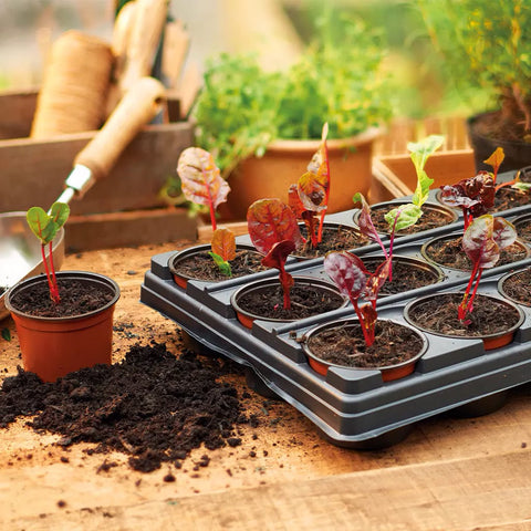 Gardman Growing Trays Gro sure Growing Tray with 18 Round or Square Pots