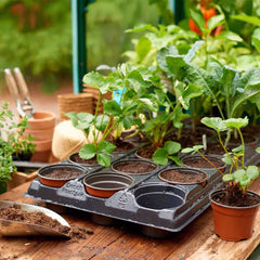 Gardman Growing Trays Gro sure Growing Tray with 18 Round or Square Pots