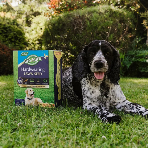 Westland Horticulture Lawn Seed Gro-Sure Hardwearing Lawn Seed 30sqm