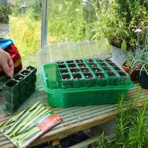 Trowell Garden Centre Gro-Sure Visiroot 4 Cell Deep Kit