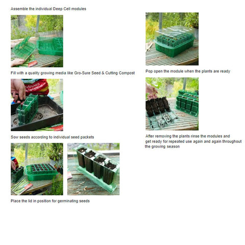 Westland Horticulture Deep Root Cells Gro-Sure Visiroot 4 Cell Deep Kit